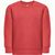 THC DELTA KIDS. Kindersweatshirt aus recycelter Baumwolle und Polyester (Bild 3)
