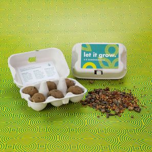 6er Pack Samenkugel im Mini-Eierkarton