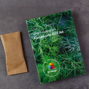 Samen Klappkarte A6 Flori