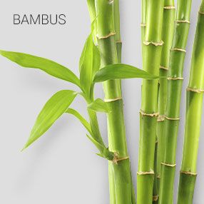 Umweltfreundliche Werbeartikel aus Bambus